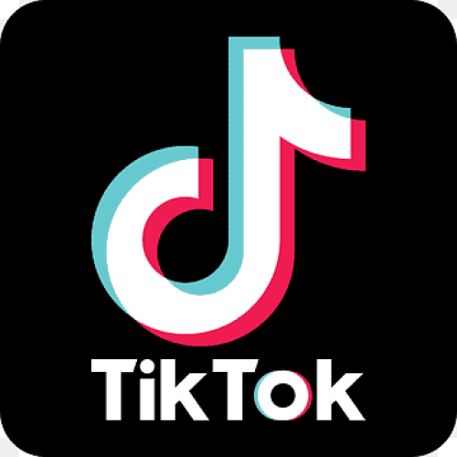 howcanecommercecompaniesincreasetheirconversionswithtiktokads